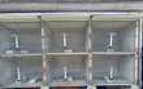 6 CLAPIERS A LAPINS Bricolage