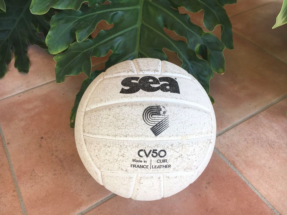 Ballon de Volley en cuir v&eacute;ritable, blanc, made in France Sports