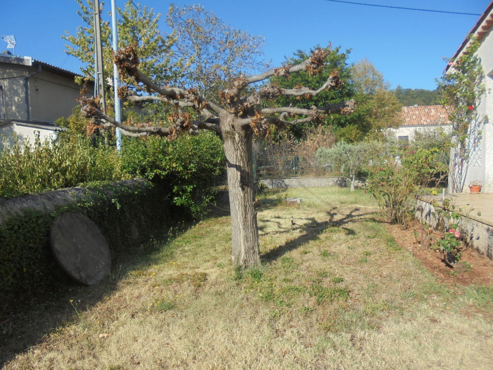 bois de de cauffage Jardin