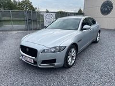 XF 2.0 - 250 ch BVA Prestige 2019 occasion 59310 Auchy-lez-Orchies