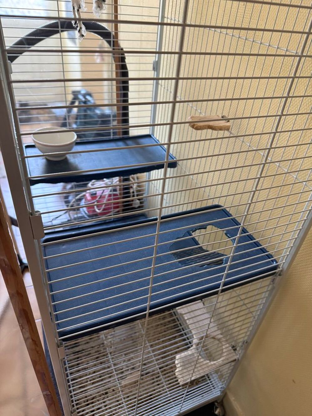 Cage rongeur Meubles