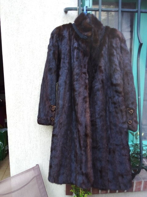 Manteau de vison 0 Lagny-sur-Marne (77)