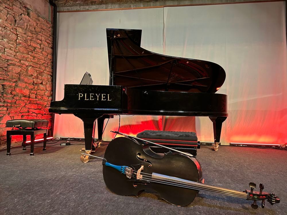   cours piano, violoncelleet groupe musical 