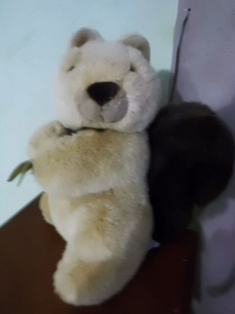 ECUREUIL BEIGE ET MARRON BOULGOM 35 Oignies (62)