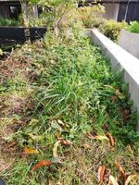   Petits travaux de jardinage 
