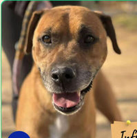   Rosko 