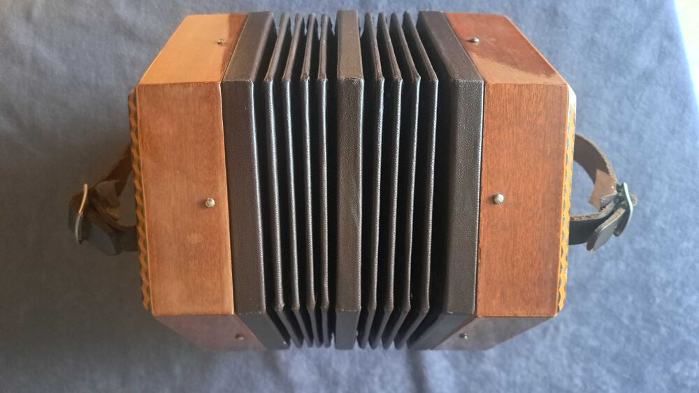 Concertina STAGI italien Instruments de musique