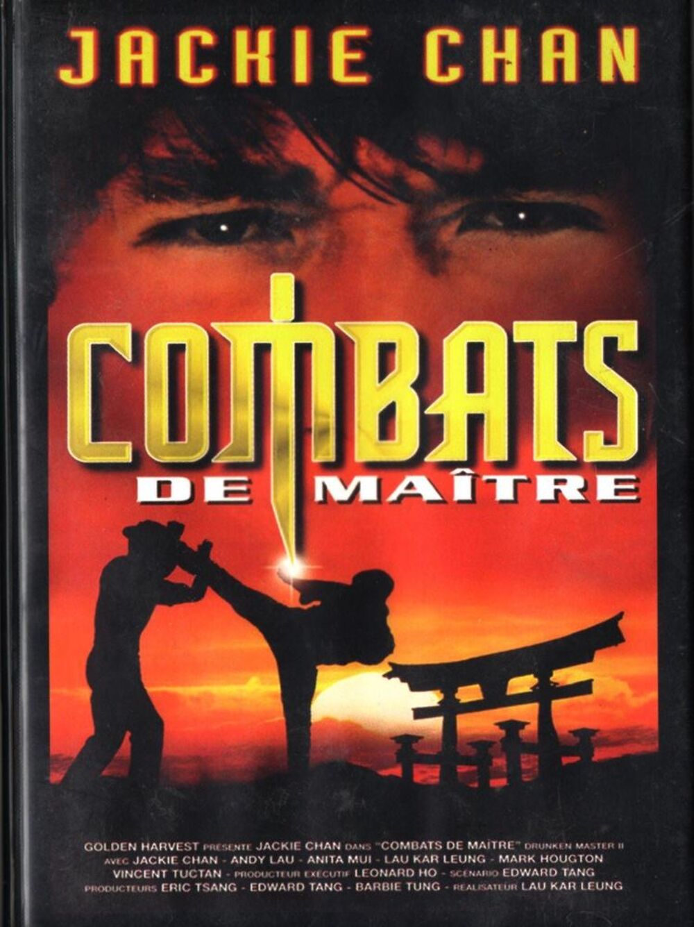 combats de ma&icirc;tre arts martiaux DVD et blu-ray