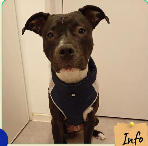 Tao 230 26700 Pierrelatte