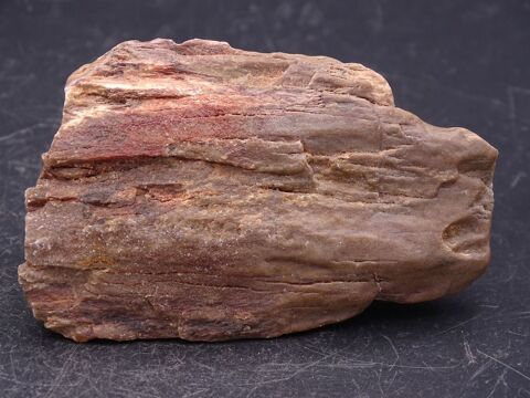 Bois p�trifi� , In Salah , Reggane , Tanezrouft , Sud Sahari 9 Moyenmoutier (88)