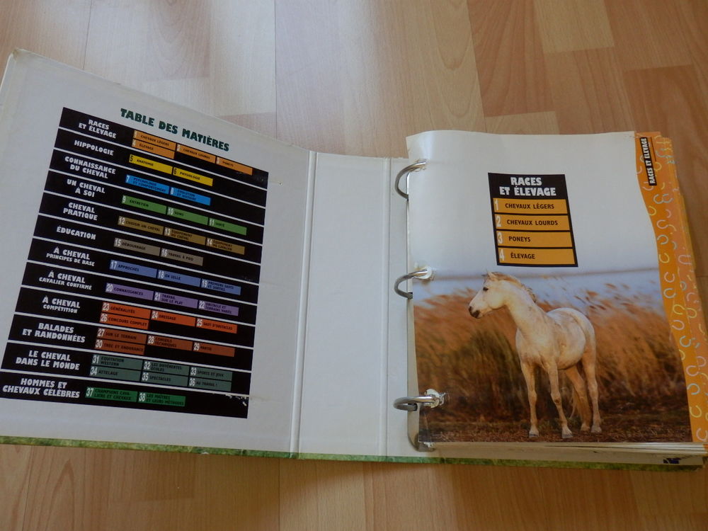 Classeur Fiches - &Eacute;quitation La Passion Du Cheval - Classeur Livres et BD