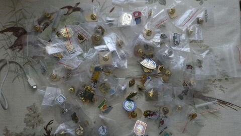 Pin's 0 Saint-Germain-Laval (42)