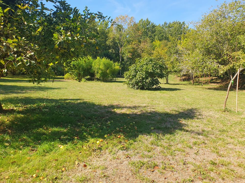 Vente Terrain terrain de loisirs non constructible Neuvic