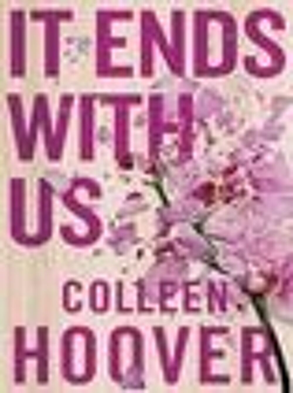 IT ENDS WITH US Livres et BD