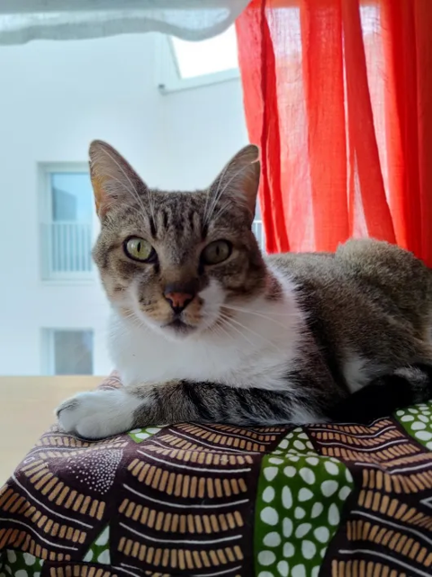 Oph&eacute;lio 180 44000 Nantes