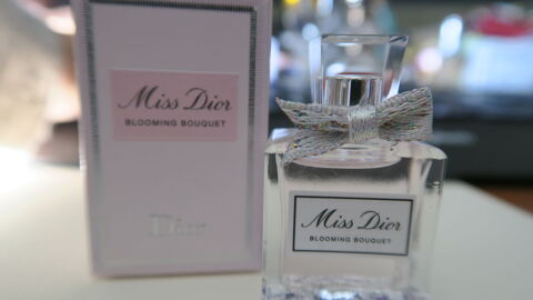 Miniature de parfum Miss D
15 Chennevires-sur-Marne (94)
