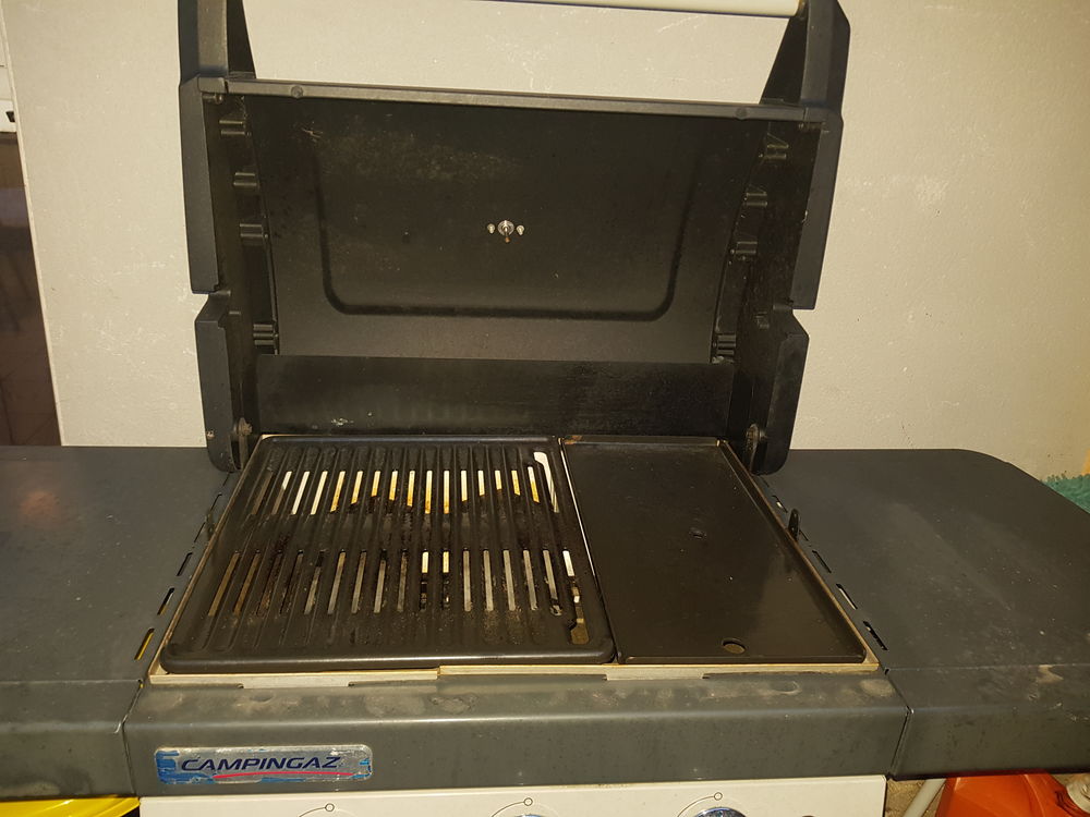 Barbecue plancha grille Jardin