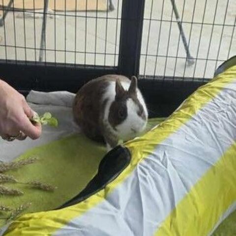 SIMBA 30 07000 Privas