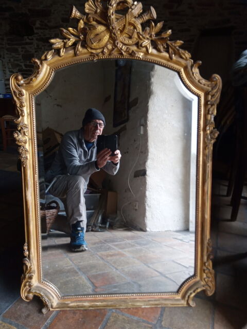 Miroir cadre dor� sculpt� d'instruments de musique 95 Le Cellier (44)