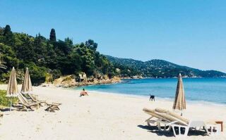 Location  Appartement 