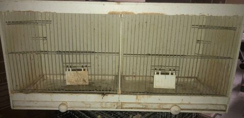 Cage batteries oiseaux 25 95190 Goussainville