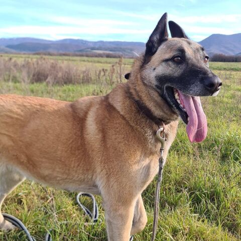 BAHYA 200 26120 Barcelonne