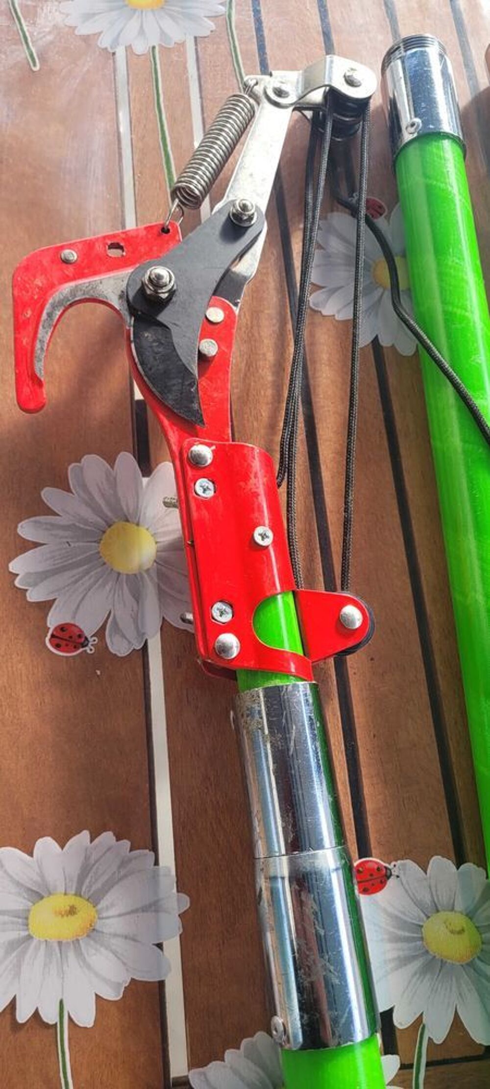 scie d &eacute;lagage, coupe branche Jardin