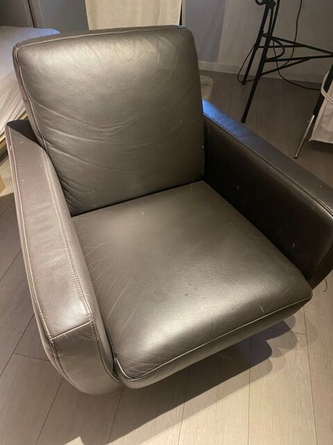 fauteuil cuir 40 Richwiller (68)