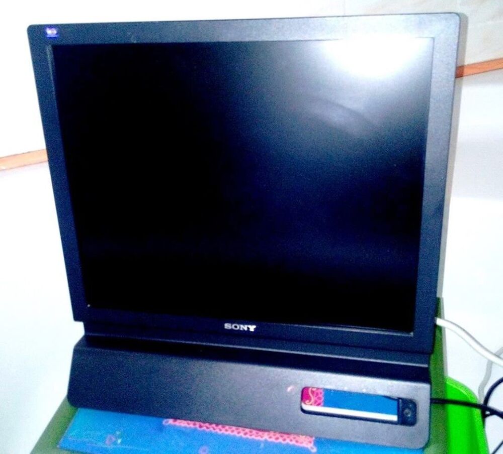 Moniteur 19 pouces Sony SDM-E96D Ecran LCD 19" Matériel informatique