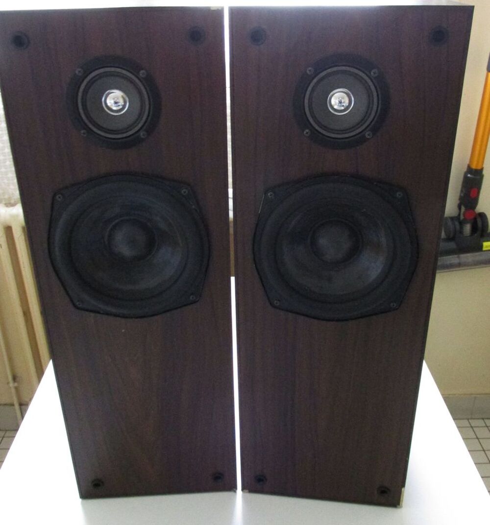Enceintes RENAISSANCE Type 350 Audio et hifi