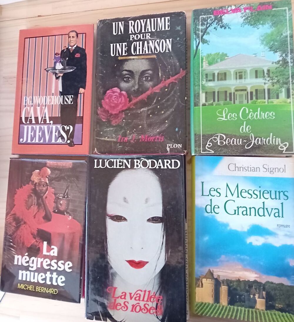 Lot de 11 livres de Romans Divers Livres et BD