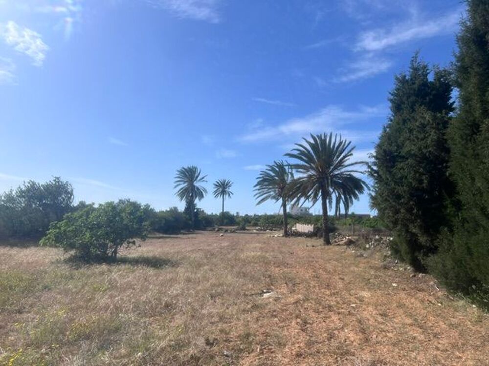 Vente Terrain Terrain constructible et viabilisé 2887m2 DIMES 5090 BEKALTA Dimes, bekalta, tunisie (Tunisie)