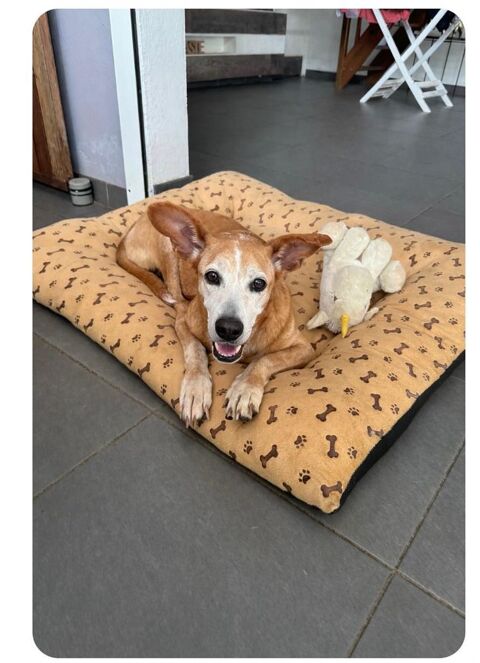 Rowena un Amour inconditionnel 150 27500 Aizier