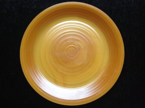 GRAND PLATEAU ARCOPAL MOD�LE VOLCAN Envoi Possible
12 Tr�gunc (29)