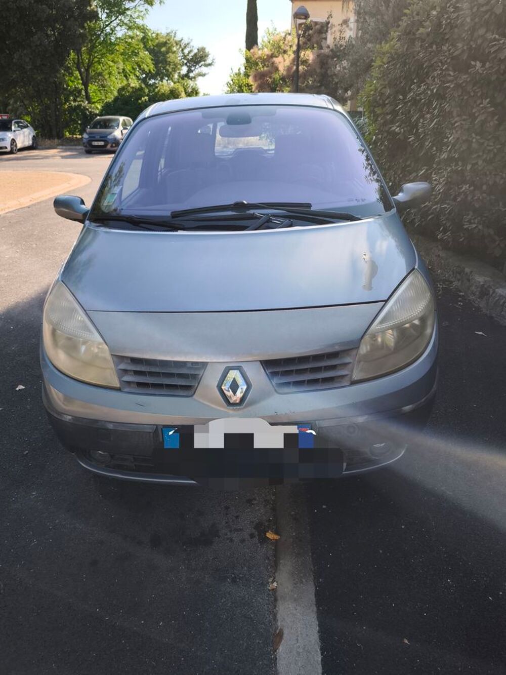 Sc&eacute;nic II Scenic 1.5 dCi 80 Authentique 2004 occasion 83440 Seillans