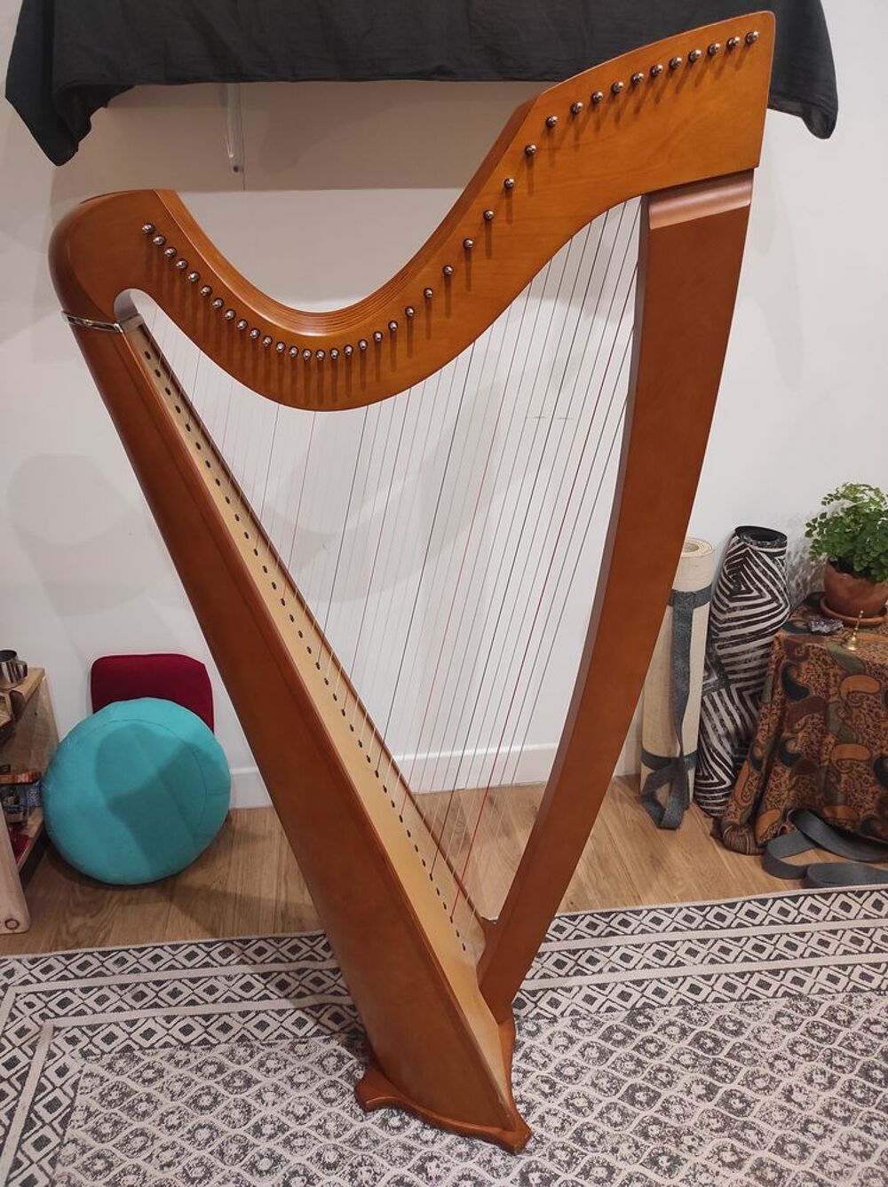Harpe Isolde CAMAC
Instruments de musique