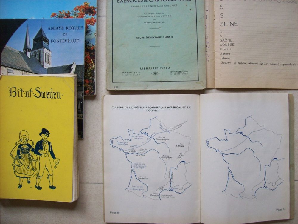 cahier scolaire ancien, + beaux insectes.... zoe Livres et BD
