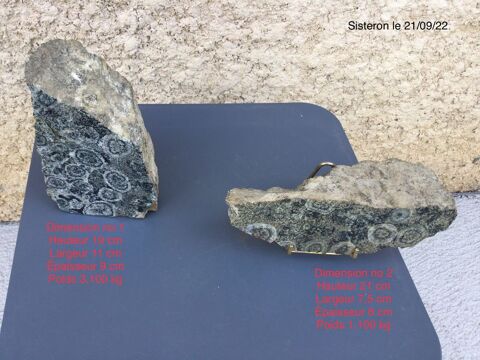 2 pierres diorite orbiculaire de corse 1100 Sisteron (04)