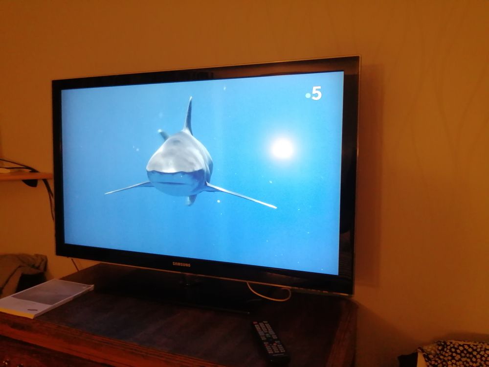 TELEVISEUR SAMSUNG LCD 46" 117cm TNT Photos/Video/TV