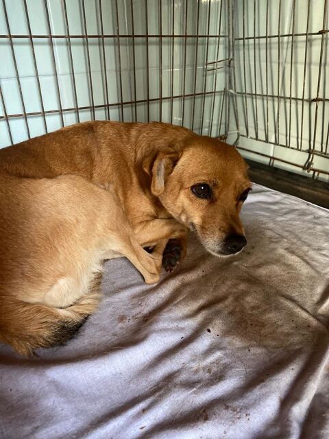 ANASTASYA 0 75018 Paris