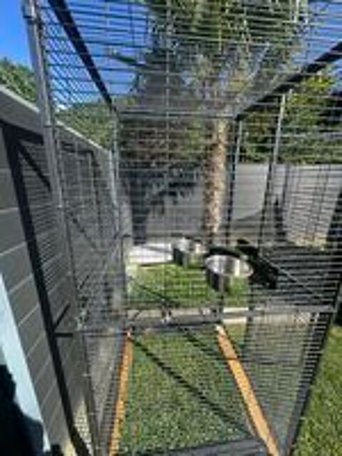   Cage volière xxl perroquet  