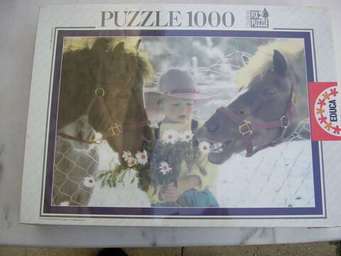 Puzzle 1000 pièces 8 Nîmes (30)