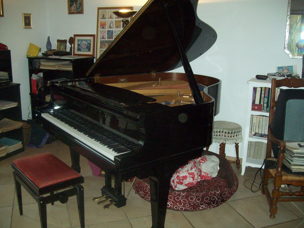 piano 1/4 de queue KAWAI KG-2D Instruments de musique