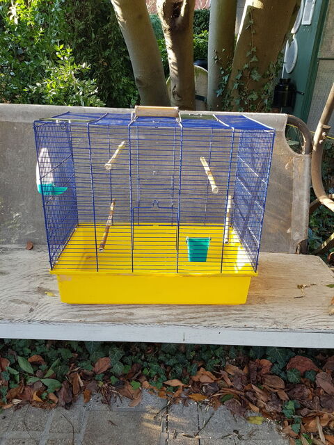 Cage oiseaux 40 93160 Noisy-le-grand
