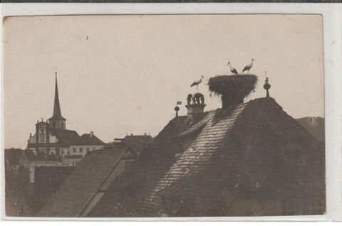 A Identifier CARTE PHOTO -  LES CIGOGNES . 3 Doullens (80)