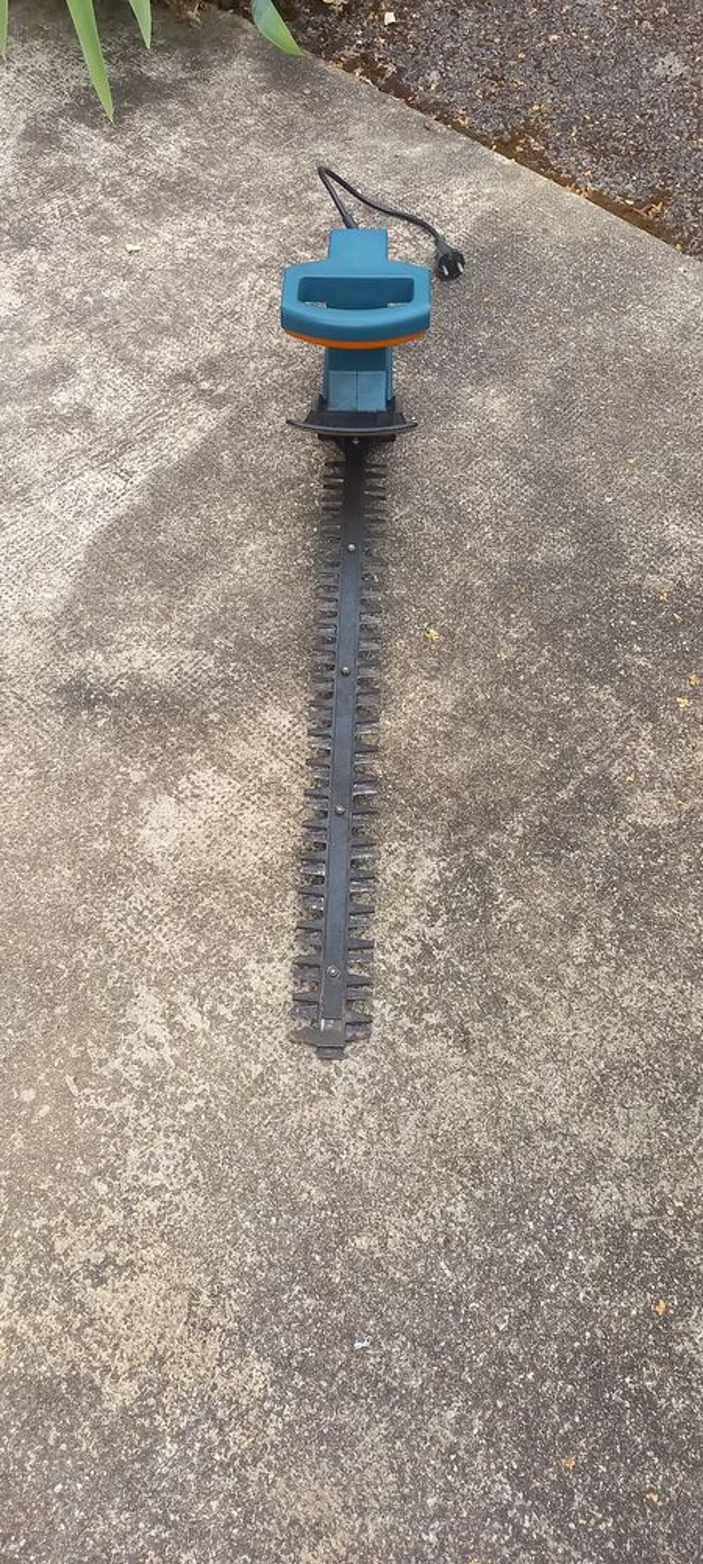 Taille haie Bricolage