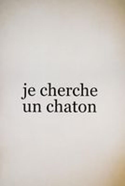   À la recherche d'un chaton (lire texte en bas svp !) 