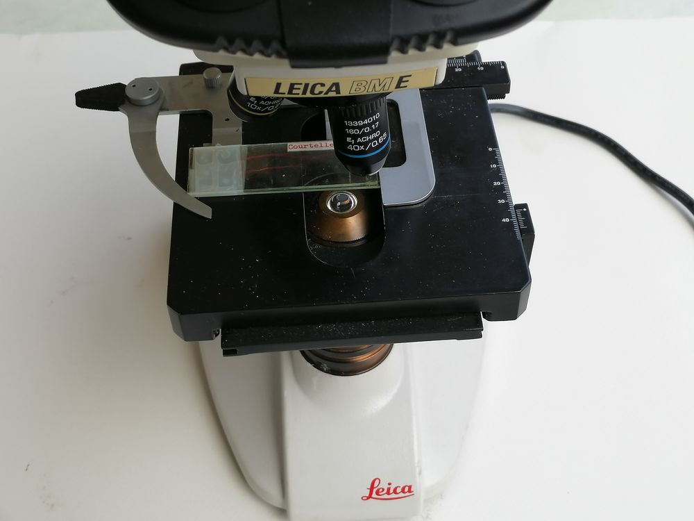 microscope leica bme model 13395 h2x Photos/Video/TV