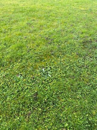  Terrain � vendre 1000 m�