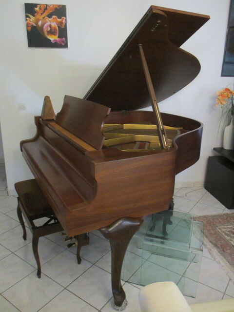 PIANO 1/4 QUEUE Saint-Claude (97)